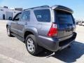 2006 Galactic Gray Mica Toyota 4Runner Limited 4x4  photo #10