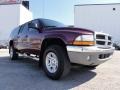 2001 Dark Garnet Red Pearl Dodge Dakota SLT Quad Cab 4x4  photo #5