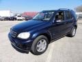 Capri Blue Metallic - ML 320 4Matic Photo No. 2