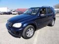 2002 Capri Blue Metallic Mercedes-Benz ML 320 4Matic  photo #2