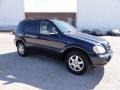 Capri Blue Metallic - ML 320 4Matic Photo No. 6