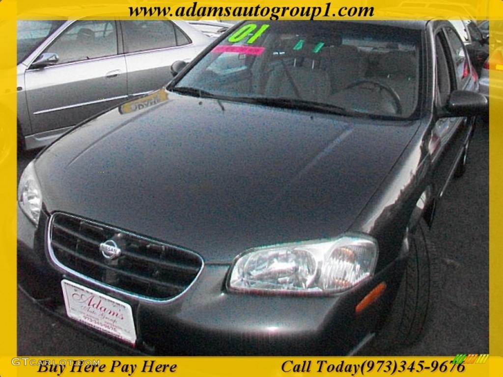 2001 Maxima GLE - Gray Lustre Metallic / Frost photo #1