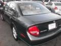 Gray Lustre Metallic - Maxima GLE Photo No. 3
