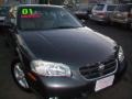 Gray Lustre Metallic - Maxima GLE Photo No. 23
