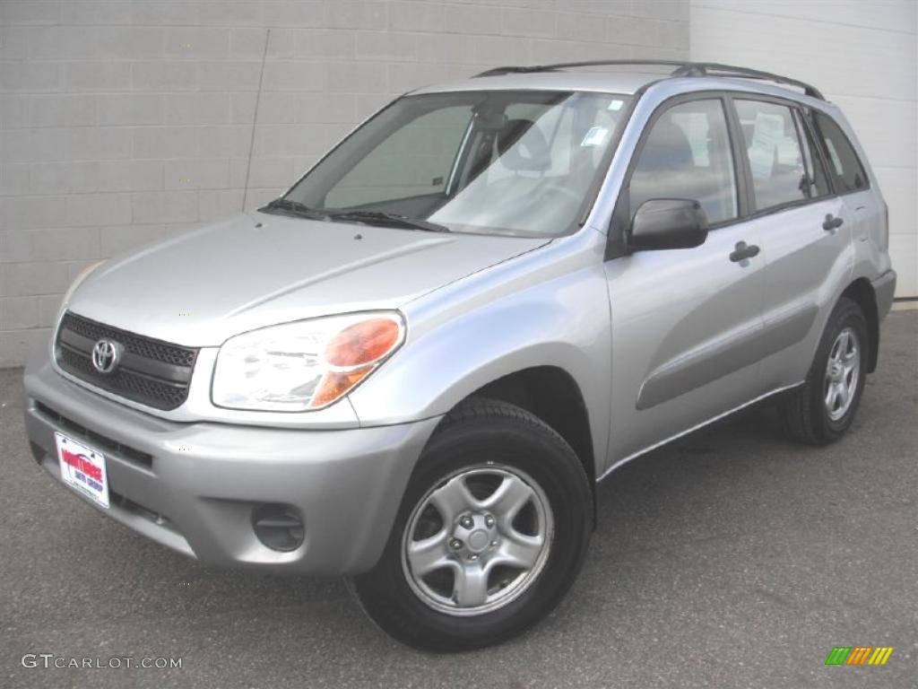 2004 RAV4  - Titanium Metallic / Dark Charcoal photo #1