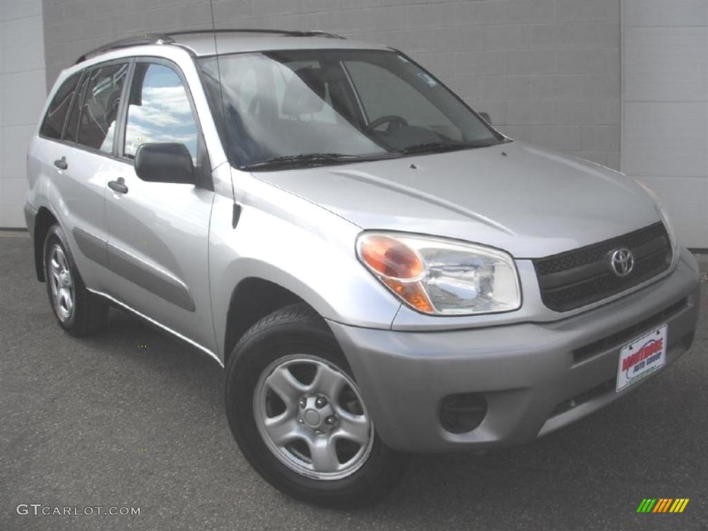 2004 RAV4  - Titanium Metallic / Dark Charcoal photo #2
