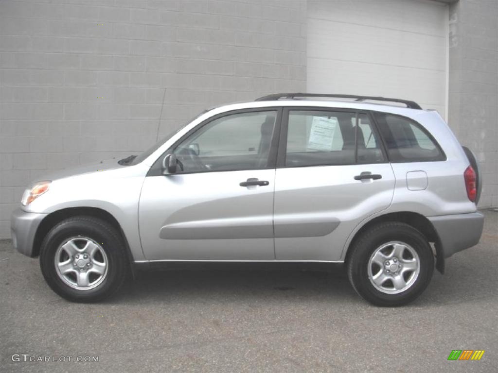 2004 RAV4  - Titanium Metallic / Dark Charcoal photo #3