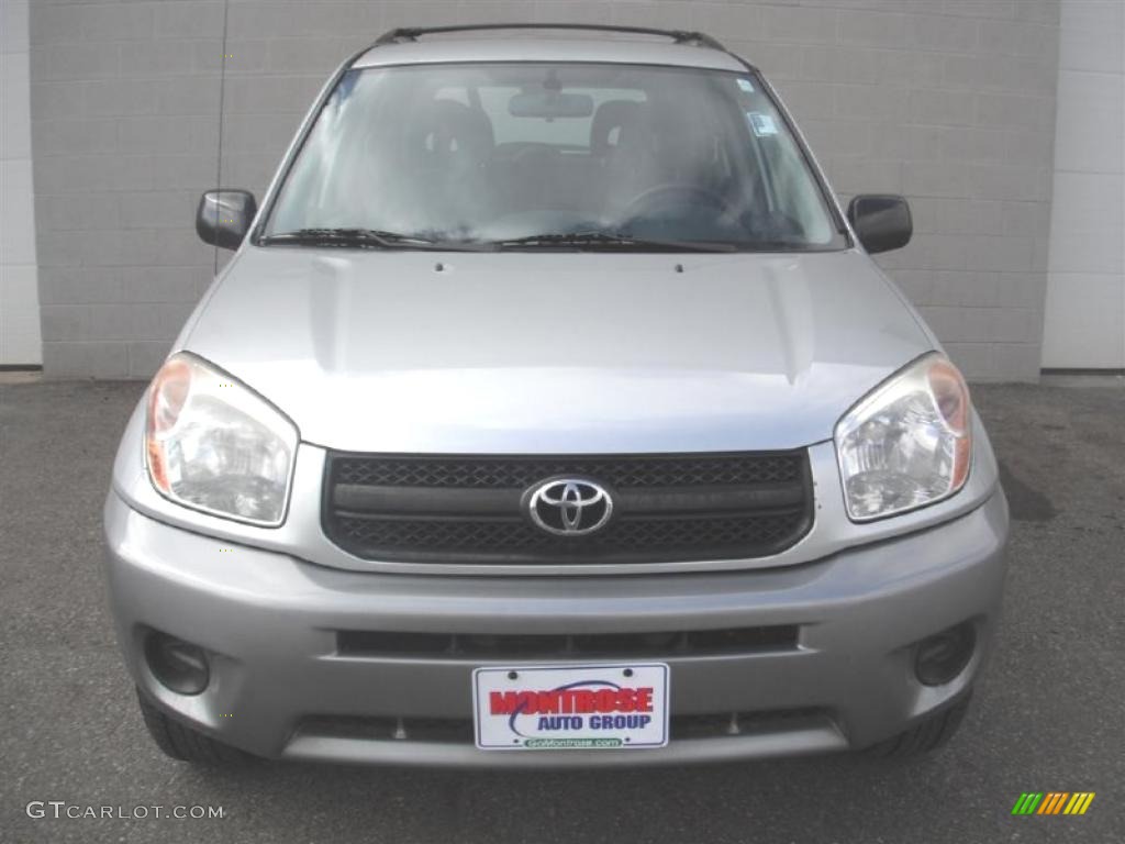 2004 RAV4  - Titanium Metallic / Dark Charcoal photo #7