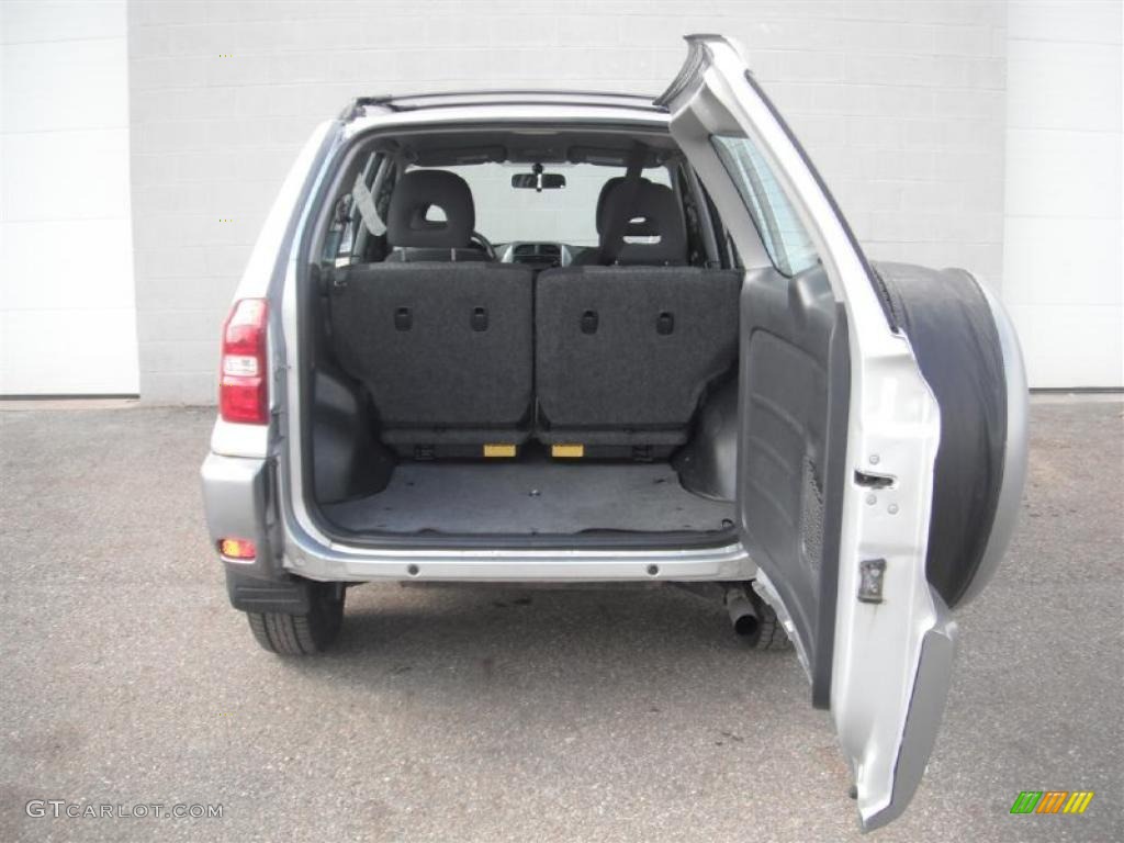 2004 RAV4  - Titanium Metallic / Dark Charcoal photo #9