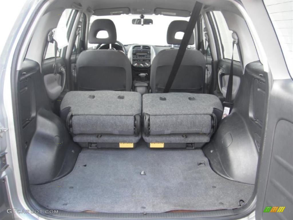 2004 RAV4  - Titanium Metallic / Dark Charcoal photo #10