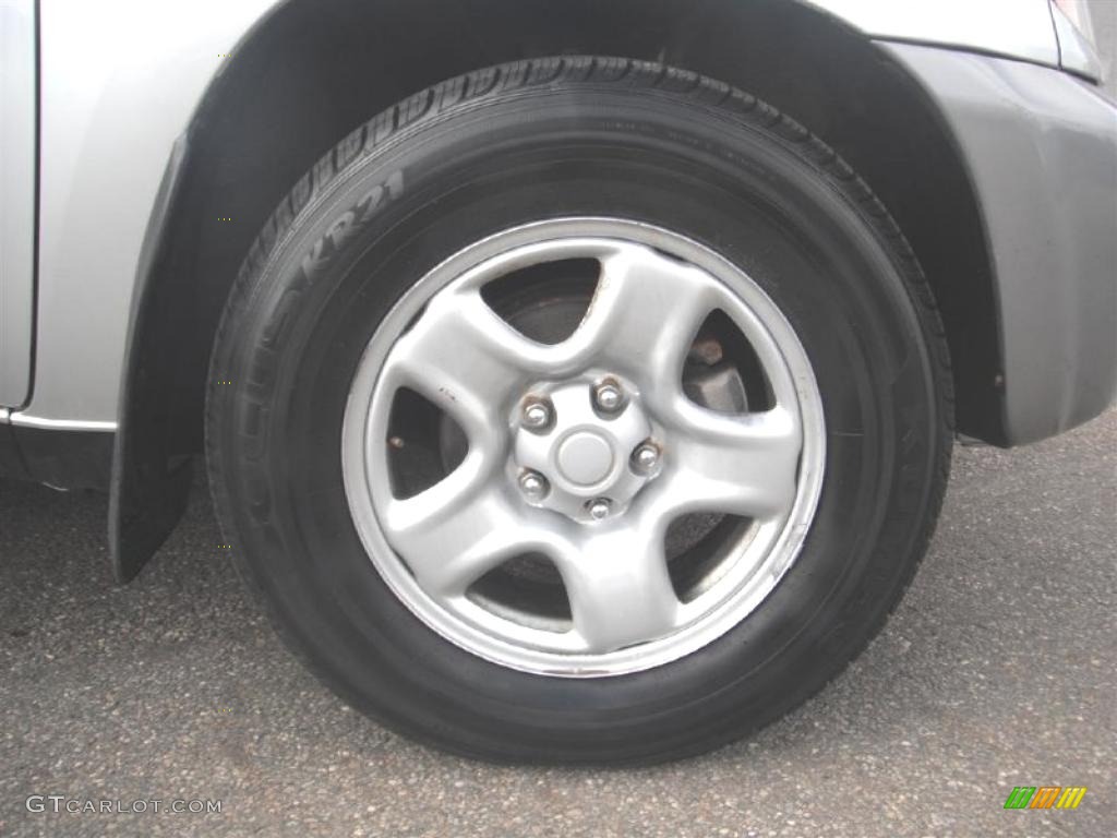 2004 RAV4  - Titanium Metallic / Dark Charcoal photo #30