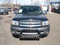 Phantom Gray Pearl - Tundra SR5 TRD Access Cab Photo No. 3