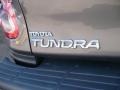 2006 Phantom Gray Pearl Toyota Tundra SR5 TRD Access Cab  photo #12