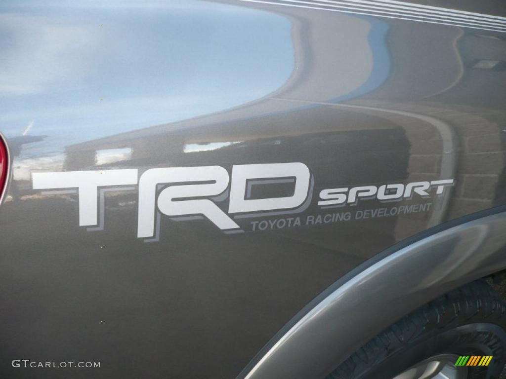 2006 Tundra SR5 TRD Access Cab - Phantom Gray Pearl / Light Charcoal photo #15