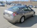 Pebble Beach Metallic - Altima 2.5 SL Photo No. 7