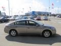 Pebble Beach Metallic - Altima 2.5 SL Photo No. 8