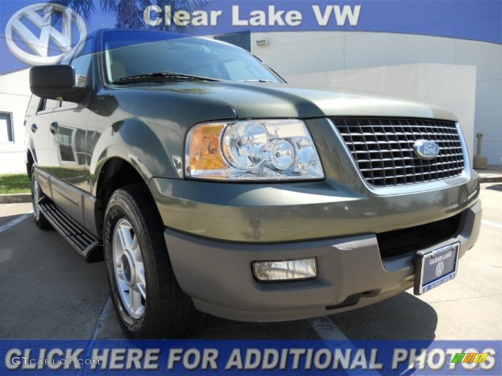 2003 Expedition XLT - Estate Green Metallic / Medium Parchment photo #1