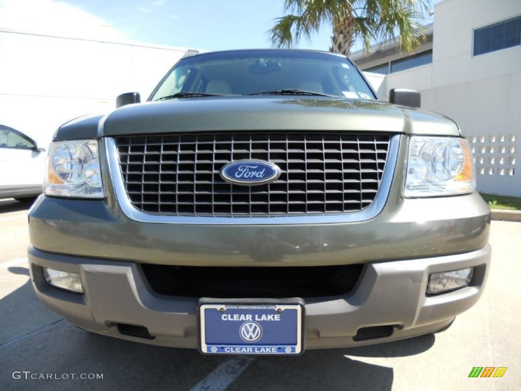 2003 Expedition XLT - Estate Green Metallic / Medium Parchment photo #2