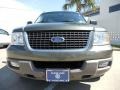 Estate Green Metallic - Expedition XLT Photo No. 2