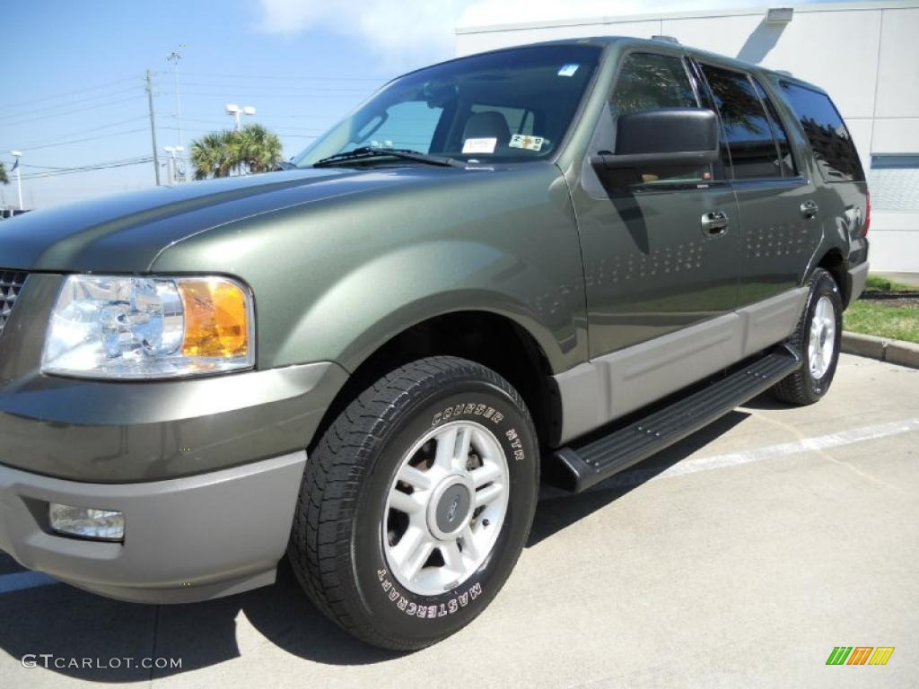 2003 Expedition XLT - Estate Green Metallic / Medium Parchment photo #3