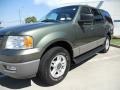 Estate Green Metallic - Expedition XLT Photo No. 3