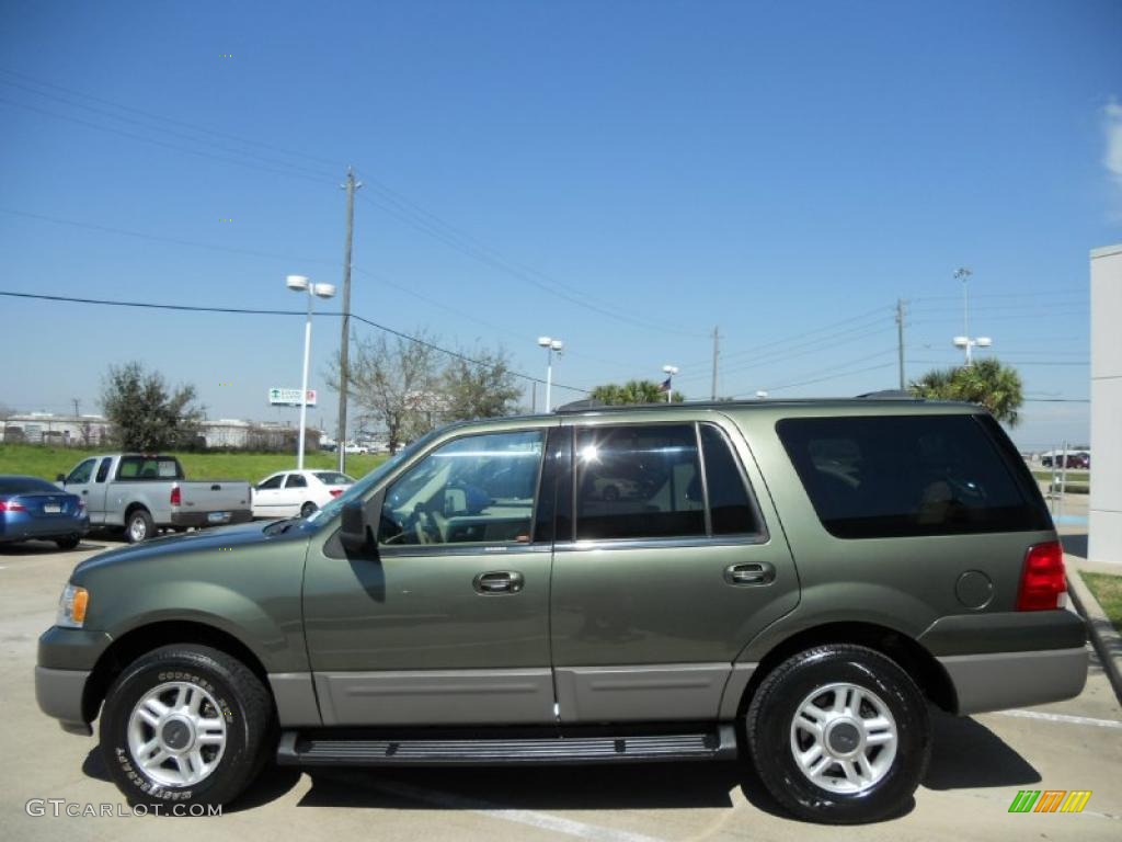 2003 Expedition XLT - Estate Green Metallic / Medium Parchment photo #4
