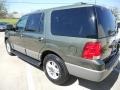 Estate Green Metallic - Expedition XLT Photo No. 5