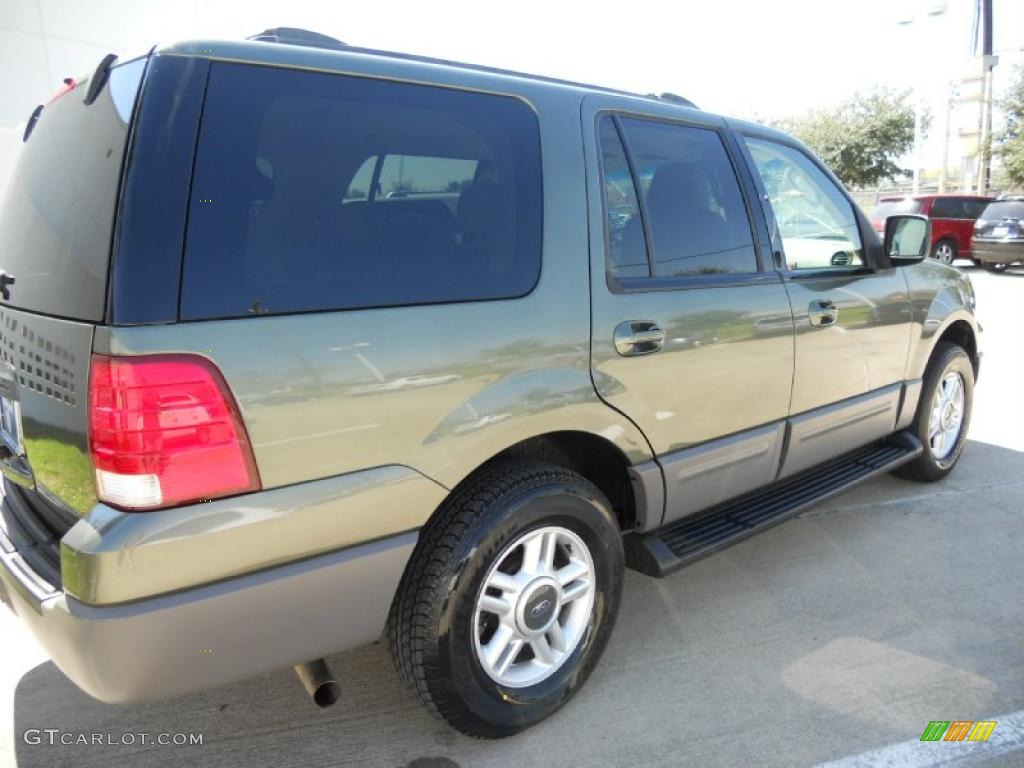 2003 Expedition XLT - Estate Green Metallic / Medium Parchment photo #7