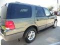 Estate Green Metallic - Expedition XLT Photo No. 7