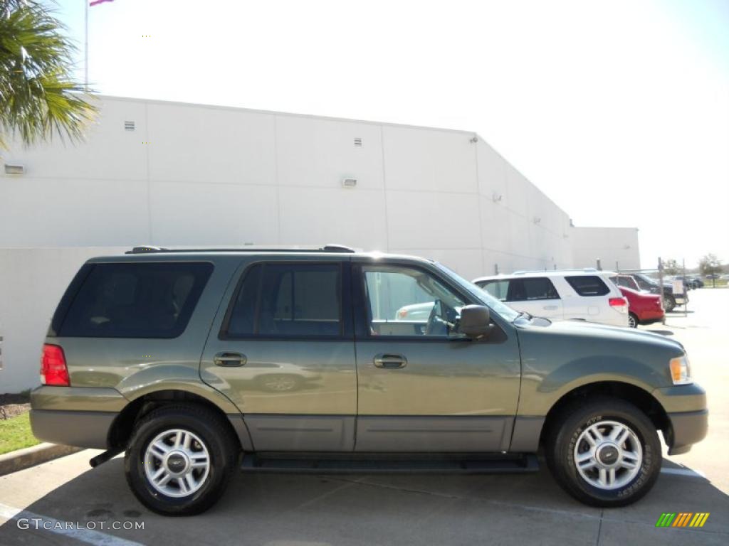 2003 Expedition XLT - Estate Green Metallic / Medium Parchment photo #8