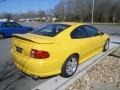 2004 Yellow Jacket Pontiac GTO Coupe  photo #5