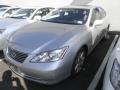 Tungsten Metallic - ES 350 Photo No. 1
