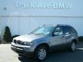 Sterling Grey Metallic - X5 3.0i Photo No. 1