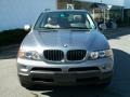 Sterling Grey Metallic - X5 3.0i Photo No. 2