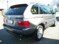 Sterling Grey Metallic - X5 3.0i Photo No. 5