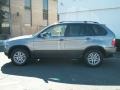 Sterling Grey Metallic - X5 3.0i Photo No. 8