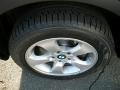 Silver Grey Metallic - X3 3.0si Photo No. 34