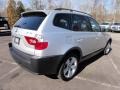 Titanium Silver Metallic - X3 2.5i Photo No. 8