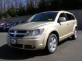 White Gold - Journey SXT Photo No. 1