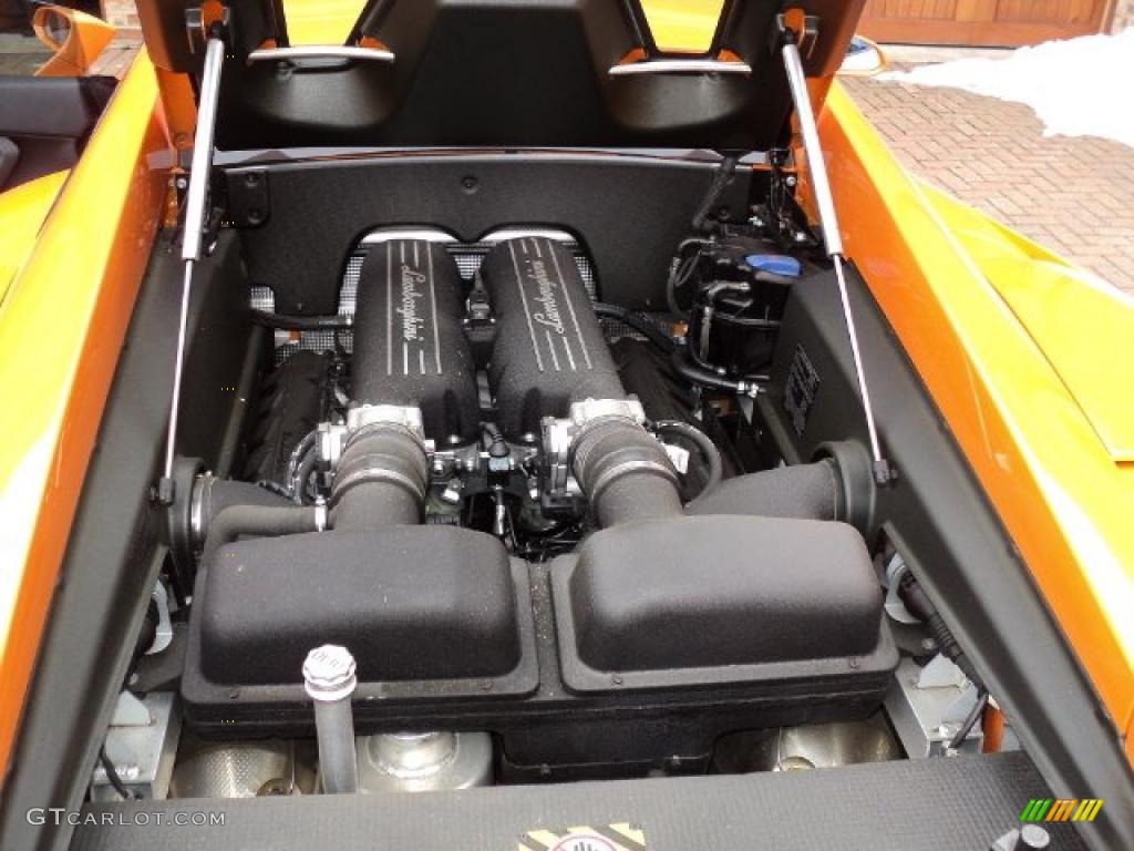 2008 Lamborghini Gallardo Coupe 5.0 Liter DOHC 40-Valve VVT V10 Engine Photo #46185984