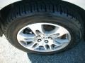 2007 Billet Silver Metallic Acura MDX Technology  photo #35
