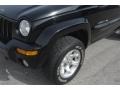 2002 Black Jeep Liberty Limited 4x4  photo #23