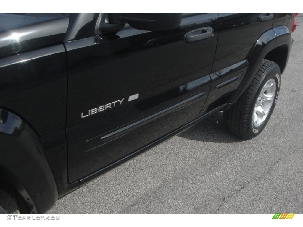 2002 Liberty Limited 4x4 - Black / Dark Slate Gray photo #24
