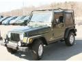 2005 Moss Green Pearlcoat Jeep Wrangler X 4x4  photo #1