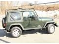 2005 Moss Green Pearlcoat Jeep Wrangler X 4x4  photo #5