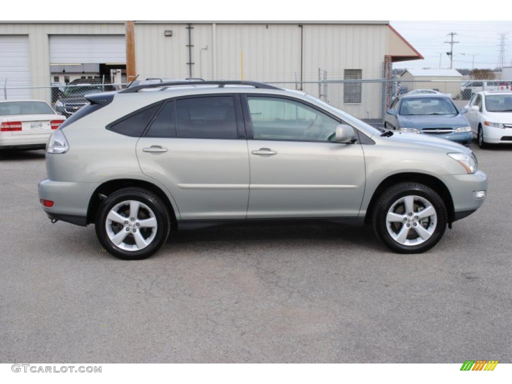 Bamboo Pearl 2004 Lexus RX 330 AWD Exterior Photo #46195733