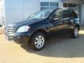 Black - ML 350 4Matic Photo No. 2