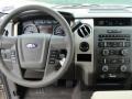 Pale Adobe Dashboard Photo for 2011 Ford F150 #46202624