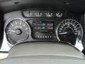 Pale Adobe Gauges Photo for 2011 Ford F150 #46202723