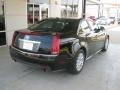 Black Raven - CTS 3.0 Sedan Photo No. 4